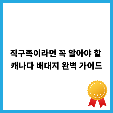 직구족이라면 꼭 알아야 할 캐나다 배대지 완벽 가이드