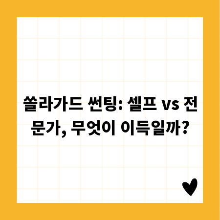 쏠라가드 썬팅: 셀프 vs 전문가, 무엇이 이득일까?