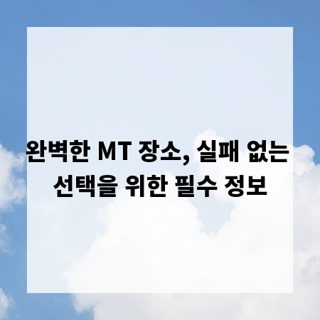 완벽한 MT 장소, 실패 없는 선택을 위한 필수 정보