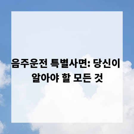 음주운전 특별사면: 당신이 알아야 할 모든 것