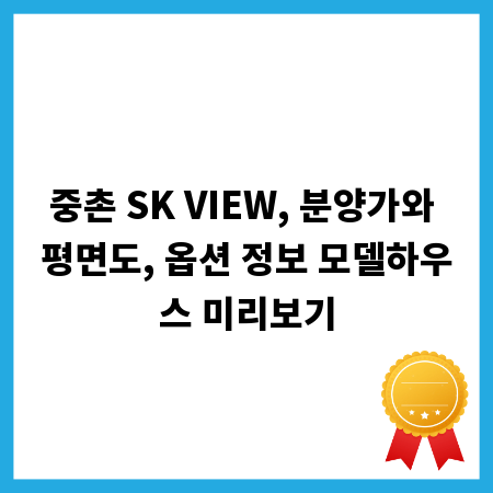 중촌 SK VIEW, 분양가와 평면도, 옵션 정보 모델하우스 미리보기