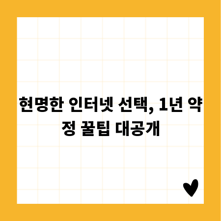 현명한 인터넷 선택, 1년 약정 꿀팁 대공개