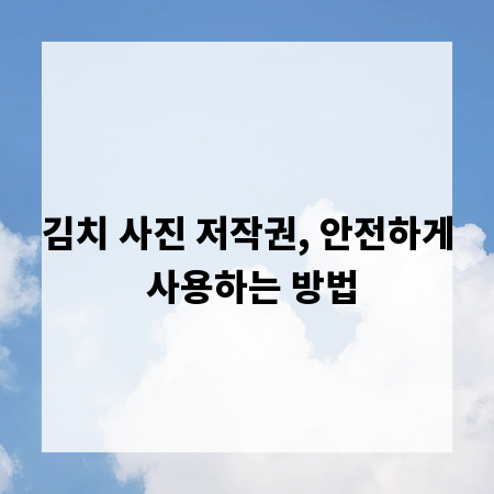 김치 사진 저작권, 안전하게 사용하는 방법