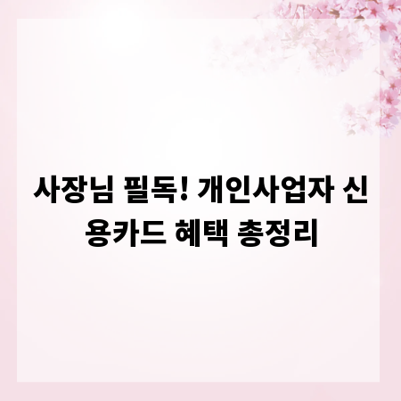 사장님 필독! 개인사업자 신용카드 혜택 총정리