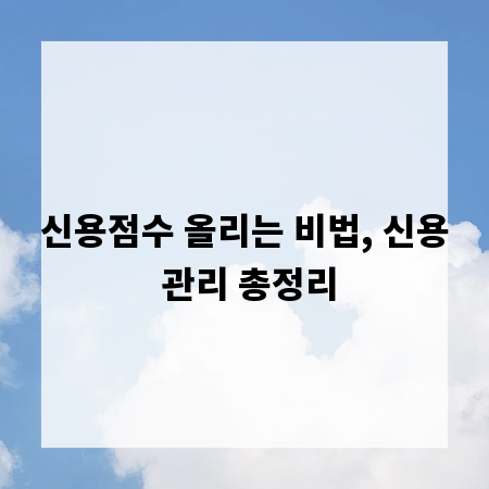 신용점수 올리는 비법, 신용 관리 총정리