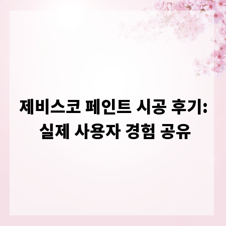 제비스코 페인트 시공 후기: 실제 사용자 경험 공유