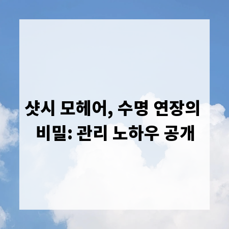 샷시 모헤어, 수명 연장의 비밀: 관리 노하우 공개