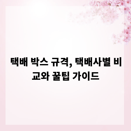택배 박스 규격, 택배사별 비교와 꿀팁 가이드