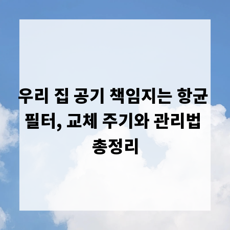 우리 집 공기 책임지는 항균 필터, 교체 주기와 관리법 총정리