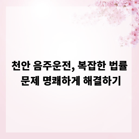 천안 음주운전, 복잡한 법률 문제 명쾌하게 해결하기