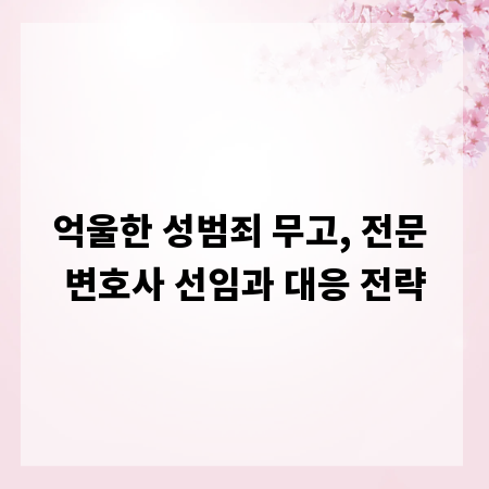억울한 성범죄 무고, 전문 변호사 선임과 대응 전략