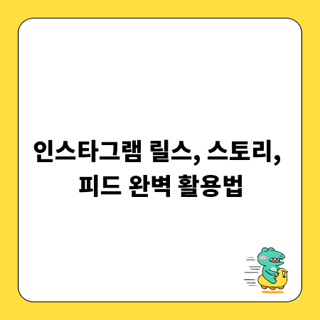 인스타그램 릴스, 스토리, 피드 완벽 활용법