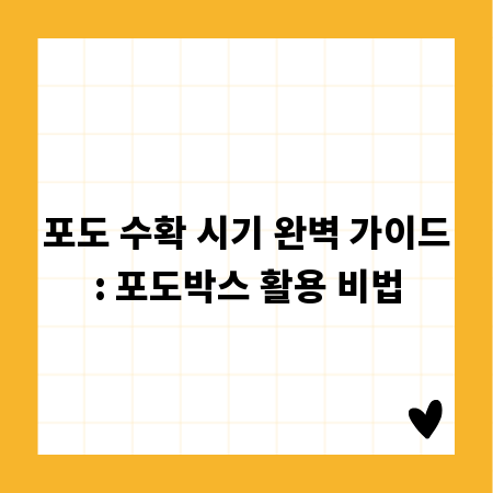 포도 수확 시기 완벽 가이드: 포도박스 활용 비법