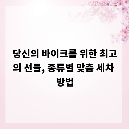 당신의 바이크를 위한 최고의 선물, 종류별 맞춤 세차 방법