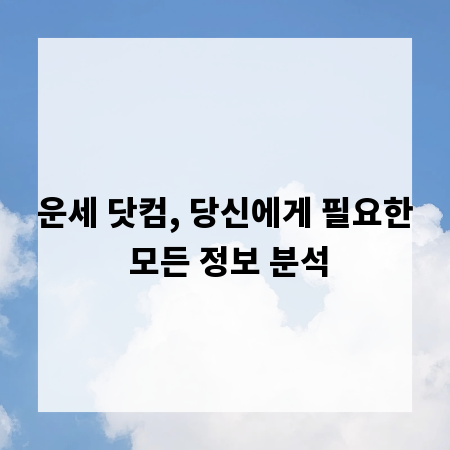 운세 닷컴, 당신에게 필요한 모든 정보 분석