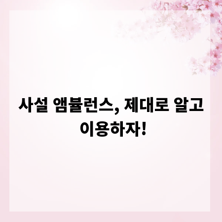 사설 앰뷸런스, 제대로 알고 이용하자!