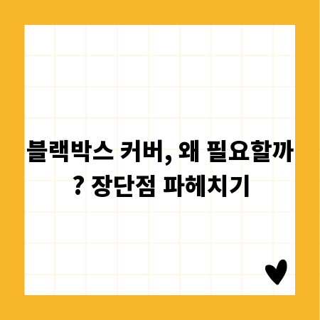 블랙박스 커버, 왜 필요할까? 장단점 파헤치기