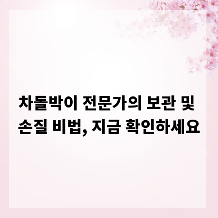 차돌박이 전문가의 보관 및 손질 비법, 지금 확인하세요