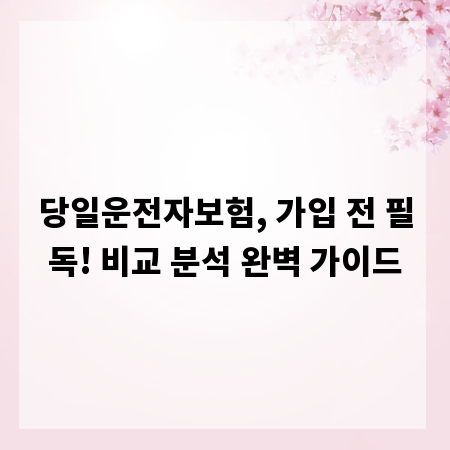당일운전자보험, 가입 전 필독! 비교 분석 완벽 가이드