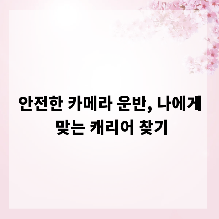 안전한 카메라 운반, 나에게 맞는 캐리어 찾기