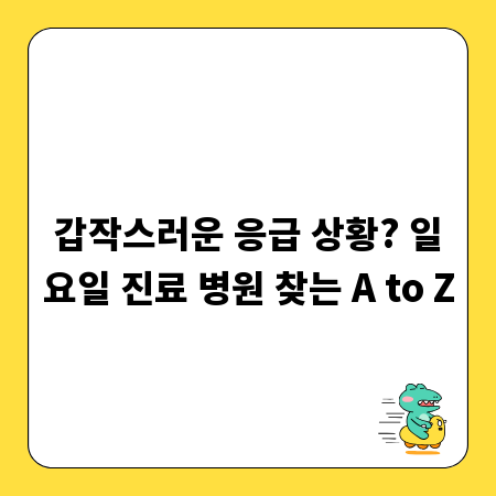 갑작스러운 응급 상황? 일요일 진료 병원 찾는 A to Z