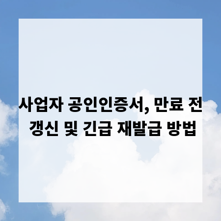 사업자 공인인증서, 만료 전 갱신 및 긴급 재발급 방법