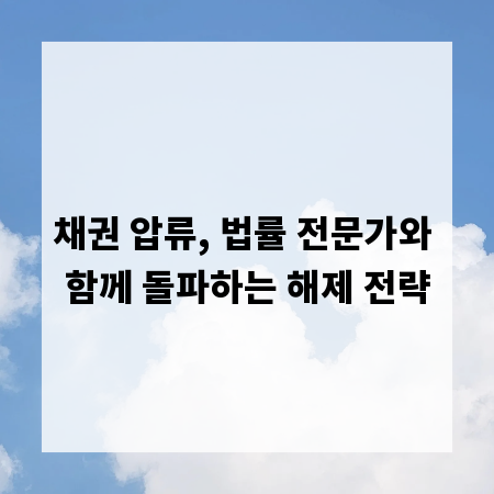 채권 압류, 법률 전문가와 함께 돌파하는 해제 전략