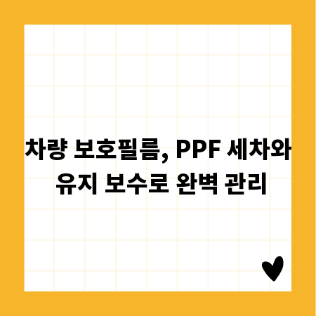 차량 보호필름, PPF 세차와 유지 보수로 완벽 관리