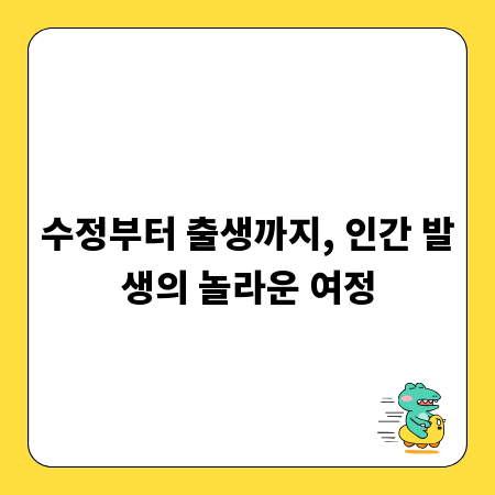 수정부터 출생까지, 인간 발생의 놀라운 여정