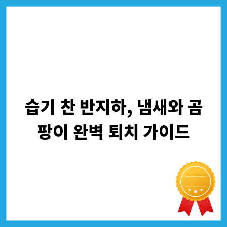 습기 찬 반지하, 냄새와 곰팡이 완벽 퇴치 가이드