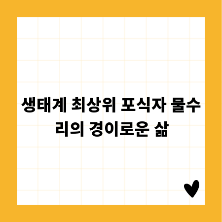 바스켓 카트, 종류별 특징 완벽 분석 및 활용법