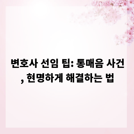 변호사 선임 팁: 통매음 사건, 현명하게 해결하는 법
